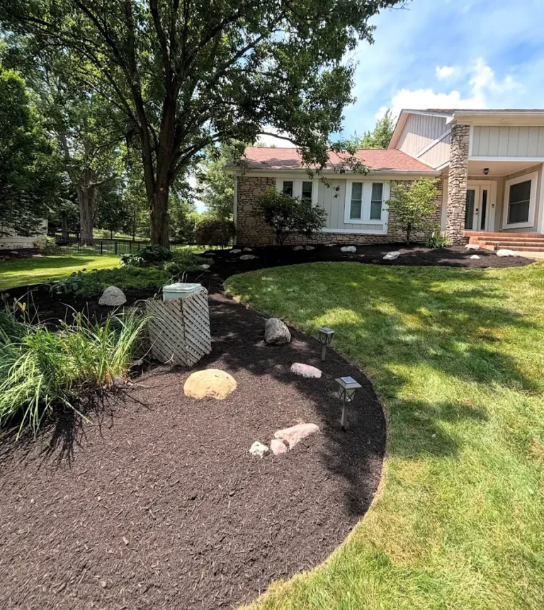 Tree and Stump Removal